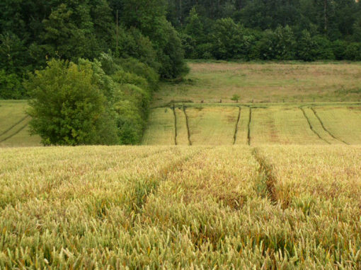 Atlas des paysages de l’Oise